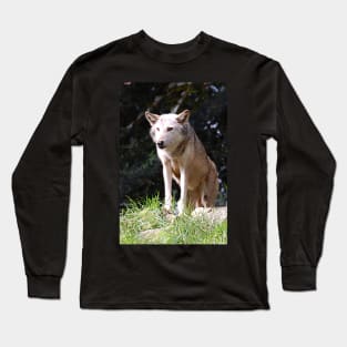 Gray Wolf poised and ready Long Sleeve T-Shirt